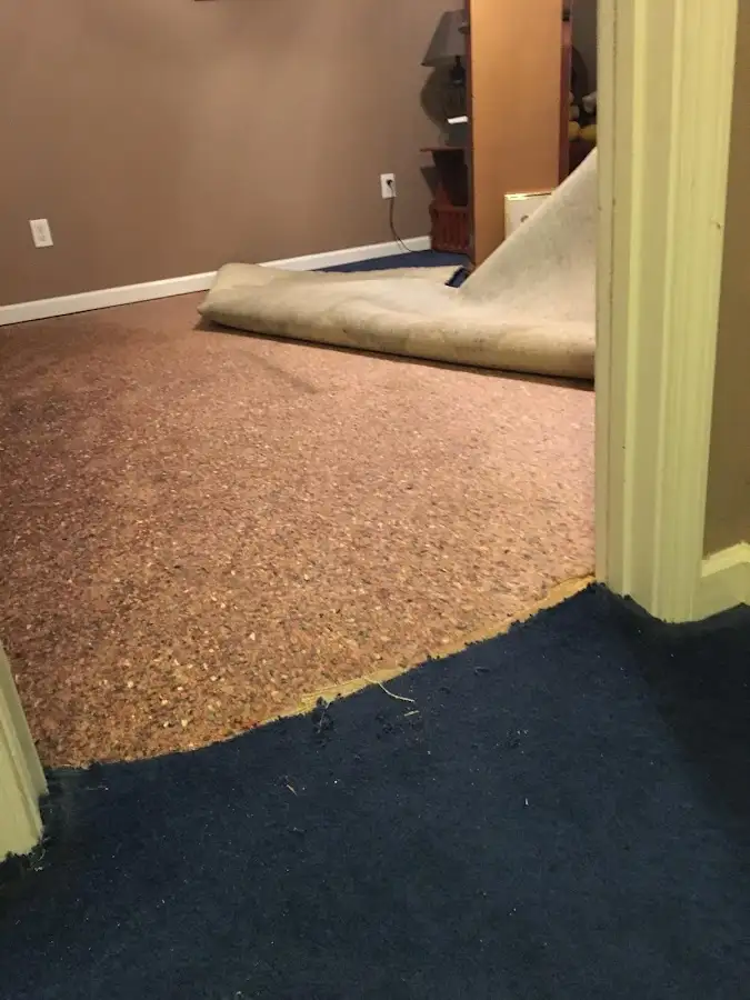 Carpet pad removal revealing water damage during Drying & Dehumidification in Phillipsburg