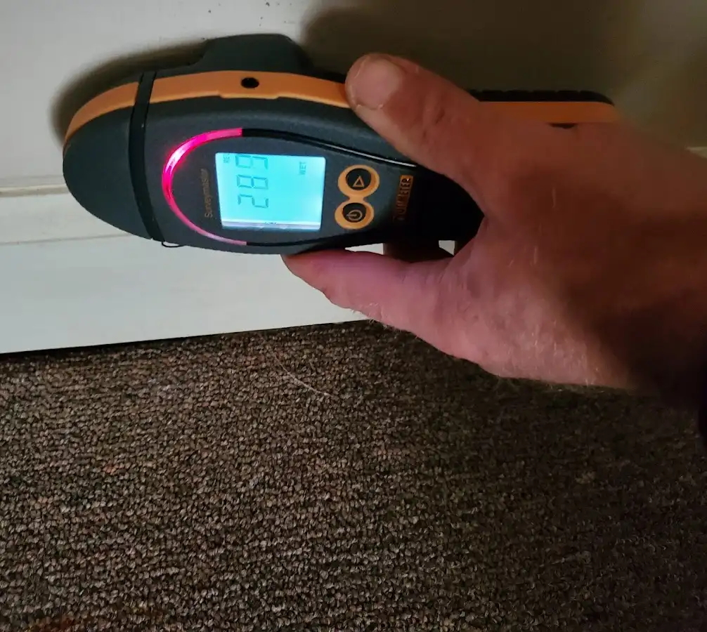 Moisture detection at baseboard during Sewage Cleanup & Sanitation in Phillipsburg